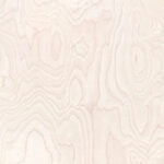 微信图片 20260401104916 488 138