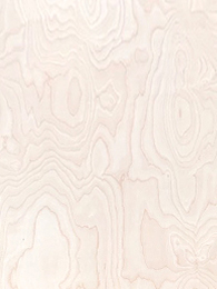 微信图片 20260401104916 488 138