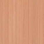 微信图片 20260401104916 498 138